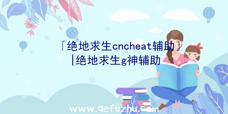 「绝地求生cncheat辅助」|绝地求生g神辅助